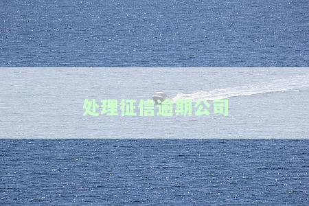 处理征信逾期公司