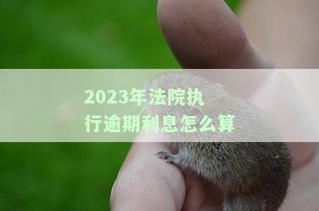 2023年法院执行逾期利息如何计算？详解计算方法与法律规定