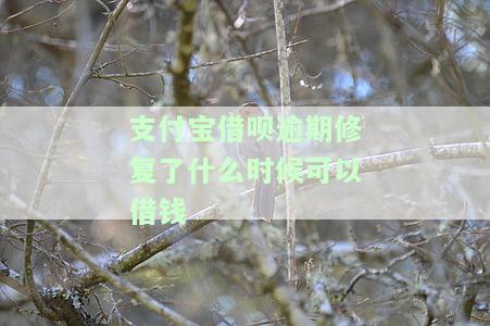 支付宝借呗逾期修复后多久可以继续使用，支付宝借呗逾期修复后，多久可以再次正常使用？