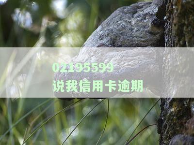 02095508说信用卡逾期，接到了多个催收电话和短信，其中包括01095580、9555、0219523、95588和95235403等，需要尽快处理。