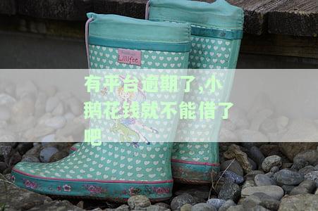 有平台逾期了,小鹅花钱就不能借了吧