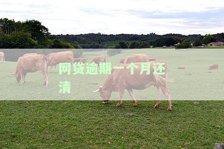 网贷逾期一个月还清了还会影响征信吗，网贷逾期一个月后还款，会对个人征信产生影响吗？