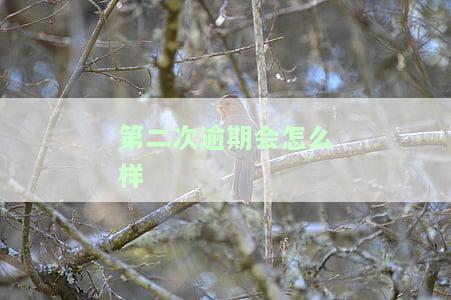 第二次逾期会怎么样？有什么补救办法和宽限期吗？