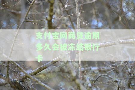 支付宝网商贷逾期多久会上征信黑名单，支付宝网商贷逾期多久会列入征信黑名单？