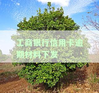 工商银行信用卡逾期材料下发