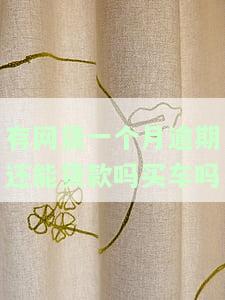 有网贷一个月逾期，能否继续贷款购车？逾期的影响及解决办法