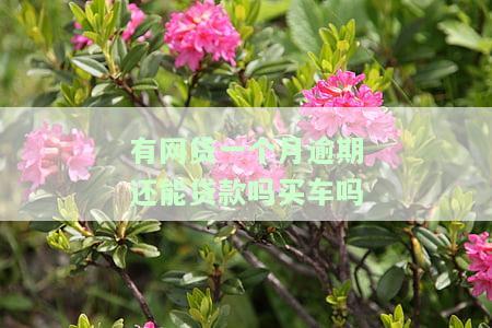 网贷逾期一个月还可以在银行贷款吗？逾期影响及解决方法