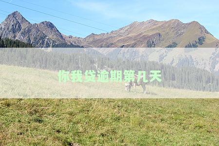 你我贷逾期第几天算逾期？上征信、被起诉风险及通知方式解析
