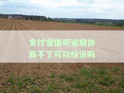 支付宝借呗逾期能不能协商，支付宝借呗逾期：如何进行协商还款？