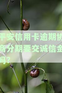 平安信用卡逾期协商分期是否需要交诚信金？