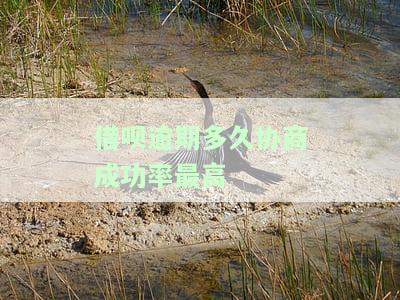 借呗逾期多久协商成功率最高-借呗逾期多久协商成功率最高呢