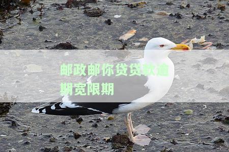 邮政邮你贷贷款逾期宽限期