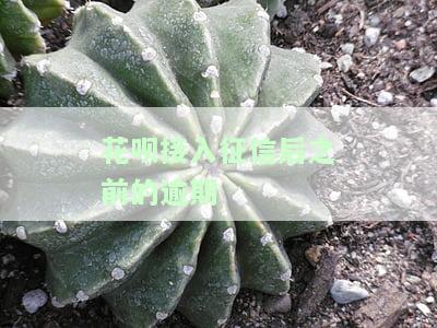 花呗接入征信后：之前逾期是否还能使用？对信用有何影响？