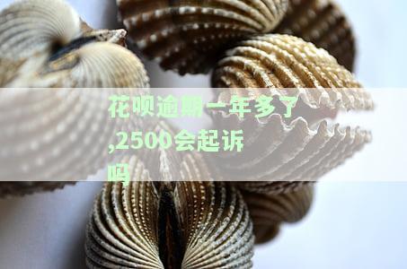 花呗逾期1年多了，警示：花呗逾期一年多，可能带来的严重后果！