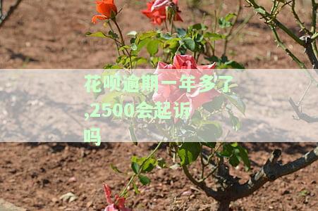 花呗逾期一年多了,2500会起诉吗