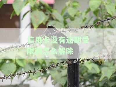 为什么信用卡没有逾期却仍被停用、降额、冻结或核销？是否会在征信上显示使用记录？