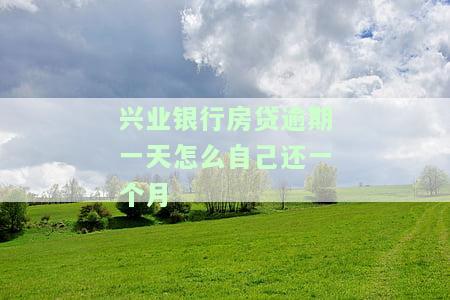 兴业银行房贷逾期一天怎么办？影响及解决方法