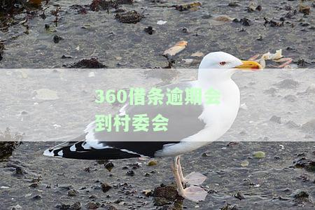 逾期会到村委会起诉吗？真会有这样的情况发生吗？