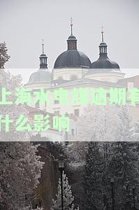 上海水电煤逾期影响大吗？多久会断供？是否会上征信？账单何时出？服务热线是多少？水电欠费会影响征信吗？