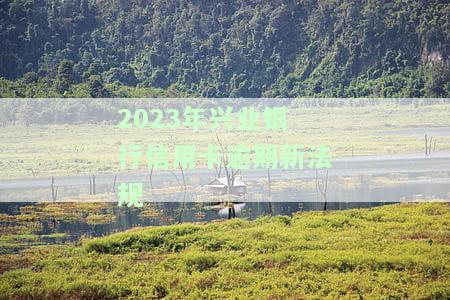 2023年兴业银行信用卡逾期新法规定及处理办法