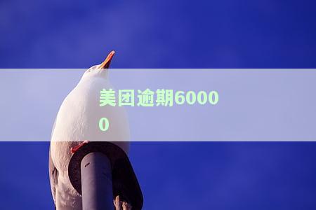 美团逾期600元发信息说要发诉讼通知函，是否真的会起诉？