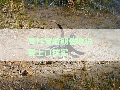 支付宝催收说要上门核实我，会真的上门吗？