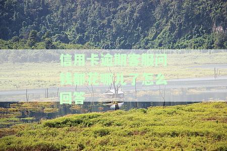 信用卡逾期客服问钱都花哪儿了怎么回答，应对信用卡逾期：如何回答客服关于资金去向的问题？
