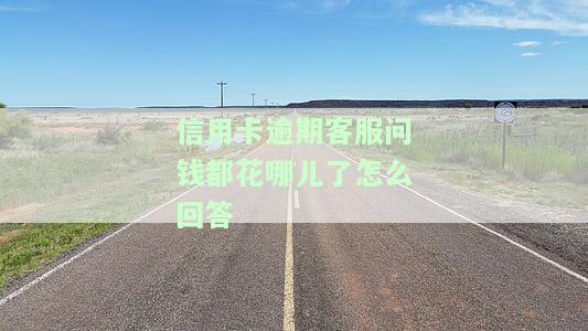信用卡逾期客服问钱都花哪儿了怎么回答-信用卡逾期客服问钱都花哪儿了怎么回答