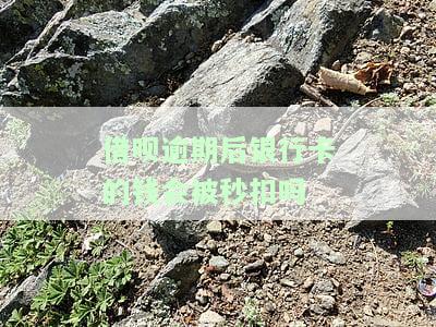 借呗逾期后银行卡的钱会被秒扣吗