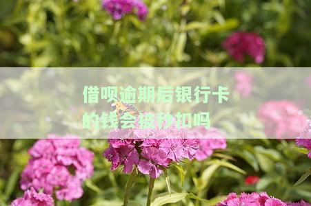 借呗逾期后银行卡的钱会被秒扣吗