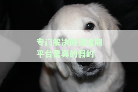 网贷解决问题平台，网贷问题解决方案：寻找可靠的在线平台