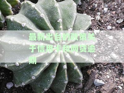 最新出台的政策：2020年信用卡网贷逾期新规定与国家政策解读
