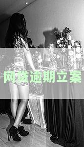 网贷逾期立案标准，深入了解网贷逾期立案标准