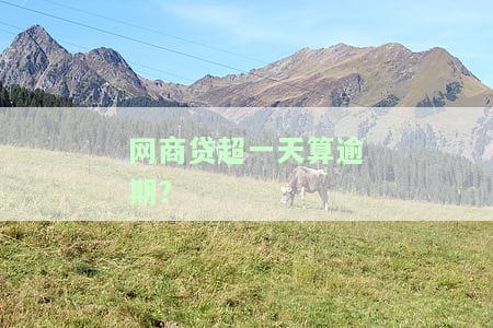 网商贷还款超时一天，网商贷还款逾期一天，影响信用记录吗？