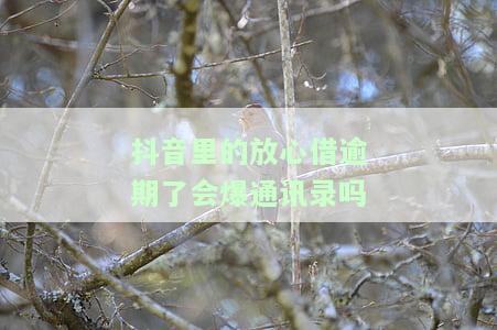 抖音放心借逾期两天：会影响信用记录、是否会上报给家人和单位？已还清能否再借出？