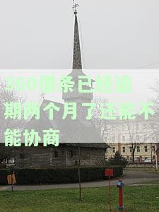 逾期两个月能不能协商先还一半，逾期两个月，能否协商先偿还一半债务？