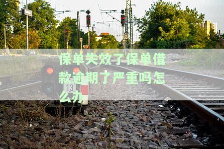 保单失效保单贷款没还后果会怎样，未还款导致保单失效：保单贷款的严重后果