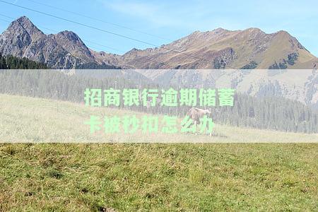 招商银行逾期多久会停卡？影响征信、冻结卡片情况解析