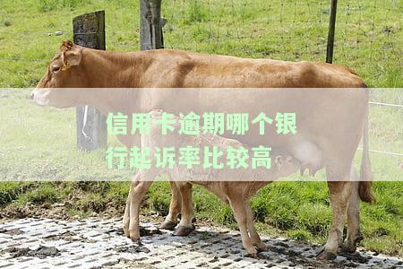 信用卡逾期哪个银行起诉率比较高呢，揭秘：信用卡逾期后，哪些银行的起诉率较高？