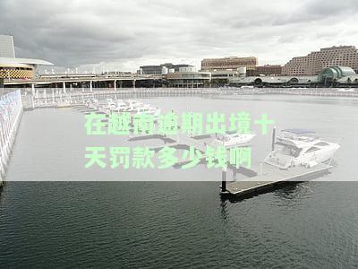 在越南逾期出境十天罚款多少钱啊-在越南逾期出境十天罚款多少钱啊怎么算