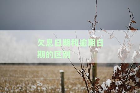 欠息日期与逾期日期有何区别？详解逾期具体日期、逾期天数、欠息天数计算方法及逾期利息与利息的差别。