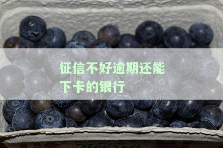 征信逾期能下的信用卡，信用卡申请攻略：征信逾期也能成功办理