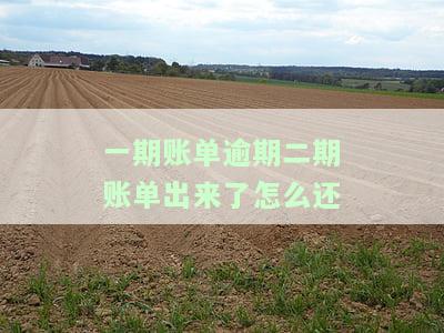 一期账单逾期，二期账单已出，如何还款？