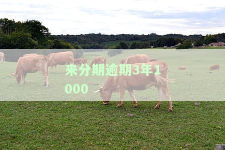 来分期逾期3年已还清，征信能否恢复正常？