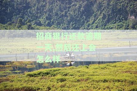 招商银行还款逾期1天的影响及处理方法