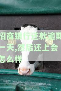 招商银行还款逾期一天,然后还上会怎么样-招商银行还款逾期一天,然后还上会怎么样