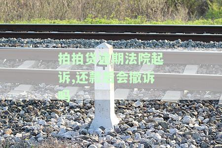 拍拍贷逾期法院起诉,还款后会撤诉吗