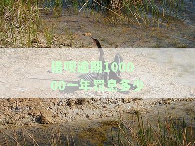 借呗10万逾期一年，严重警告：借呗10万元逾期一年，可能面临的后果