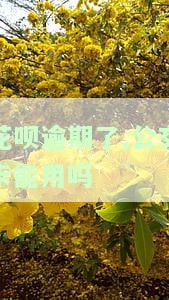 花呗逾期还了怎么还用不了支付宝乘车码，花呗逾期还款后仍无法使用支付宝乘车码？原因在此！
