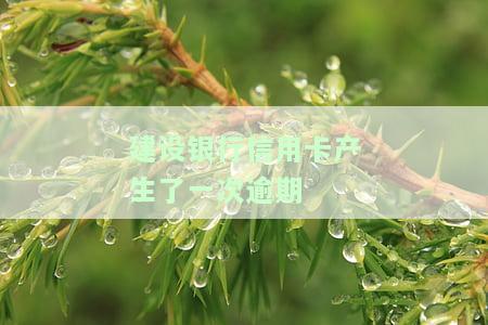 建设银行信用卡产生了一次逾期怎么处理，如何处理建设银行信用卡的逾期记录？